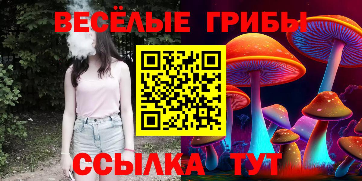 Галлюциногенные грибы Cubensis Щёлково