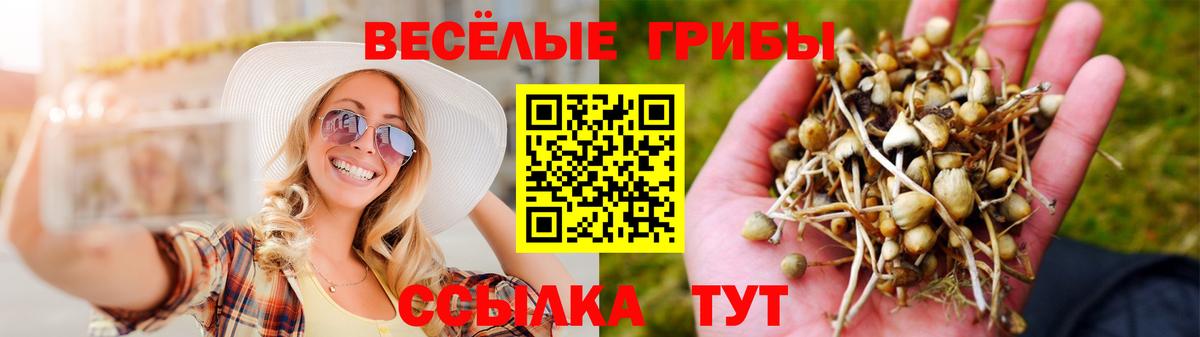 Щёлково  Псилоцибиновые грибы прущие грибы  Псилоцибиновые грибы Magic Shrooms  Вход с VPN 
