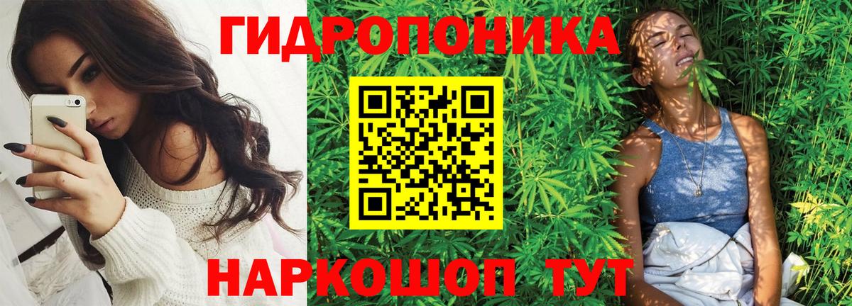 МАРИХУАНА планчик Щёлково